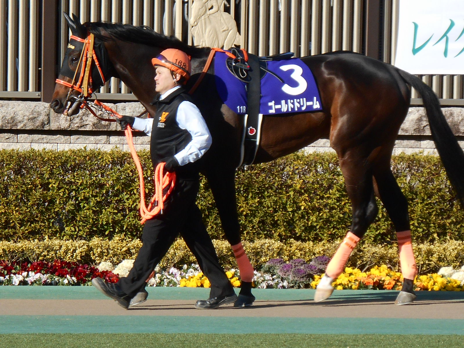 競馬における 毛色の違い とは 競馬で生活する僕は