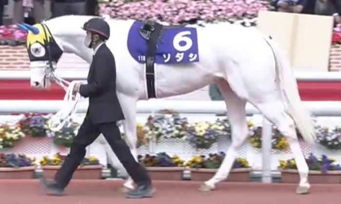桜花賞21予想 本命はソダシ 競馬で生活する僕は