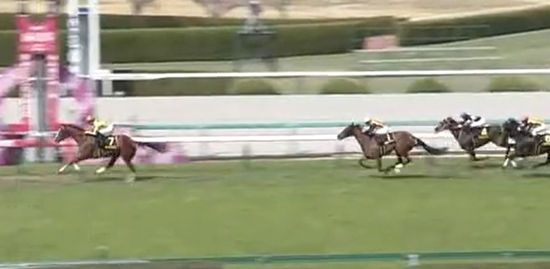 オークス22予想 本命はアートハウス 競馬で生活する僕は