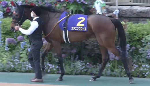 オークス22結果 馬体診断 優勝はスターズオンアース 競馬で生活する僕は