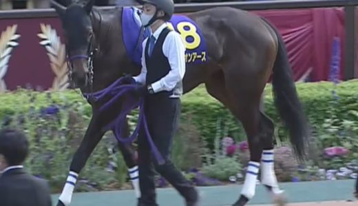 オークス22結果 馬体診断 優勝はスターズオンアース 競馬で生活する僕は