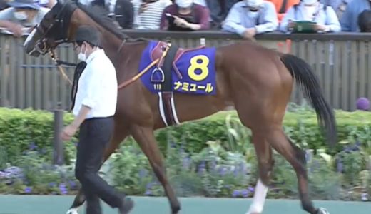 オークス22結果 馬体診断 優勝はスターズオンアース 競馬で生活する僕は