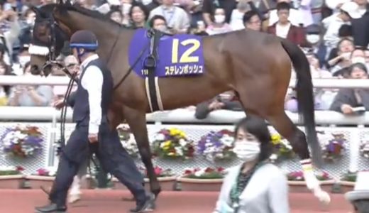桜花賞・ニュージーランドトロフィー・阪神牝馬ステークス2024結果